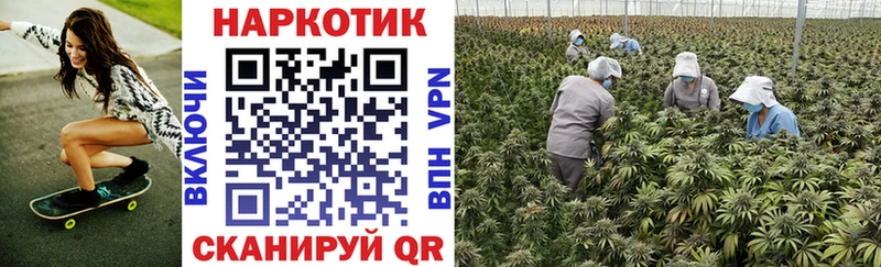 Где можно купить наркотики Осташков МАРИХУАНА Alpha-PVP Амфетамин ГАШ МЕФ hydra зеркало Кокаин