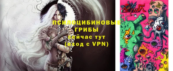 spice Алзамай