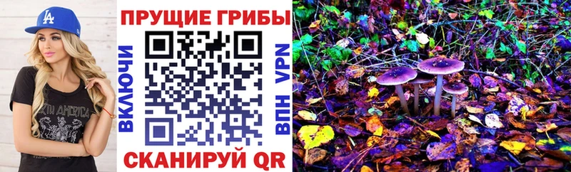 где найти Осташков Галлюциногенные грибы прущие грибы